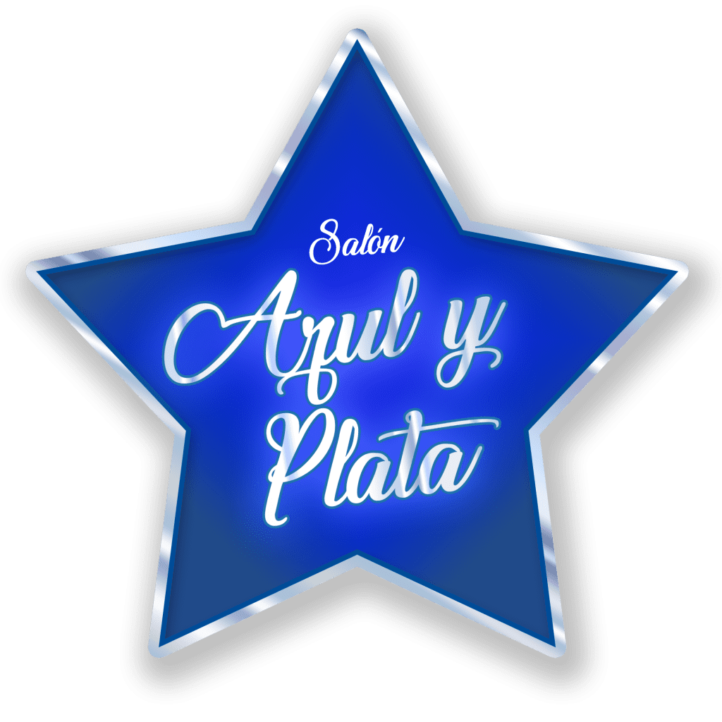 2024Logo azul y plata copia