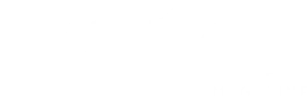 Logo-Vatel-Bco